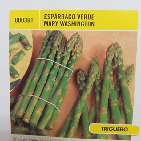 ESPÁRRAGO VERDE MARY WASHINGTON