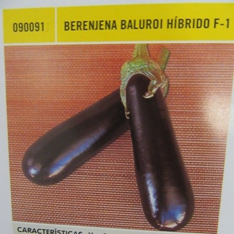 BERENJENA BALUROI HÍBRIDO F-1