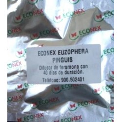 EUZOPHERA PINGUIS