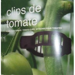 CLIPS PASKAL TOMATE 22 MM